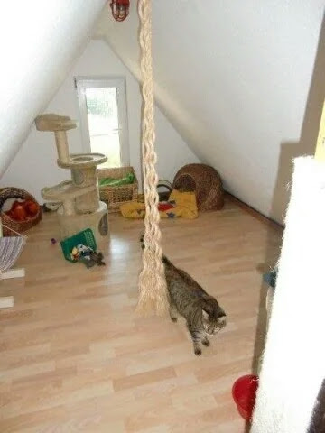 Katzenpension Stäbler - Dachboden